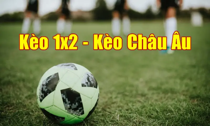 Tỷ lệ kèo châu Âu hấp dẫn, khả năng thắng cược cao cùng Soi keo 86 - القبة - خدمات الإعلام الآلي و أجهزة الأمن